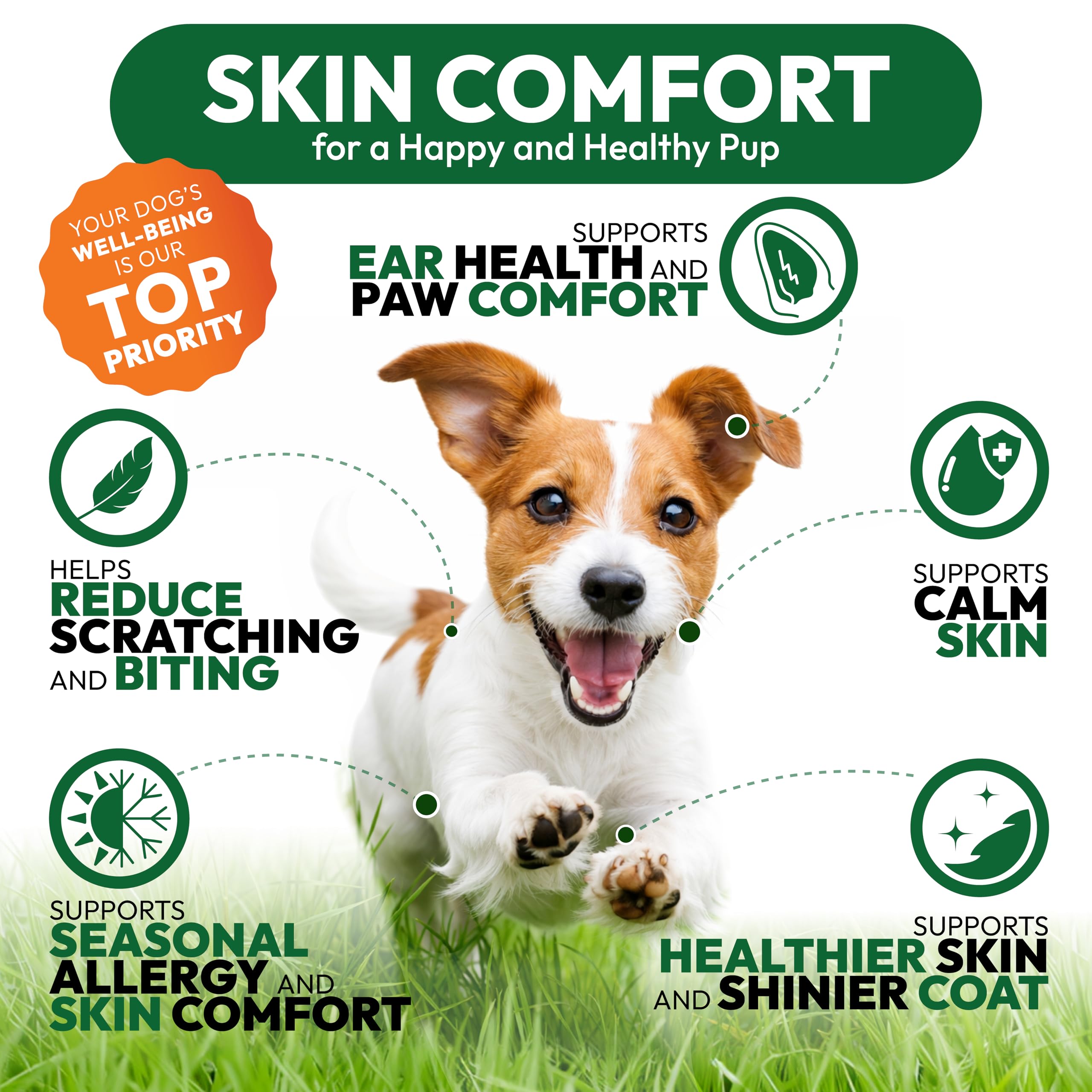 Petsology chews with probiotics emphasize immune support for dogs.