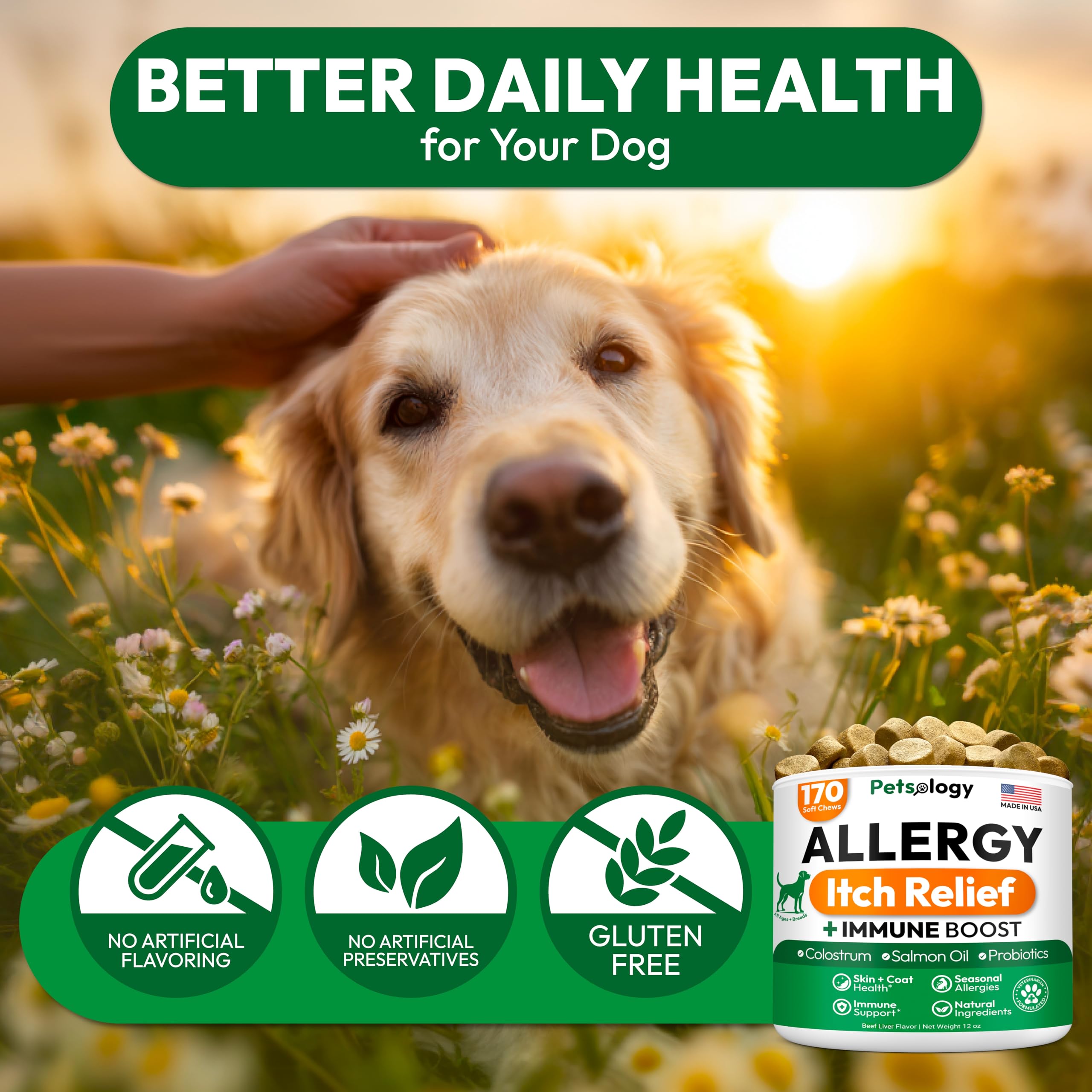 Petsology allergy chews illustrate skin and coat care benefits for dogs.