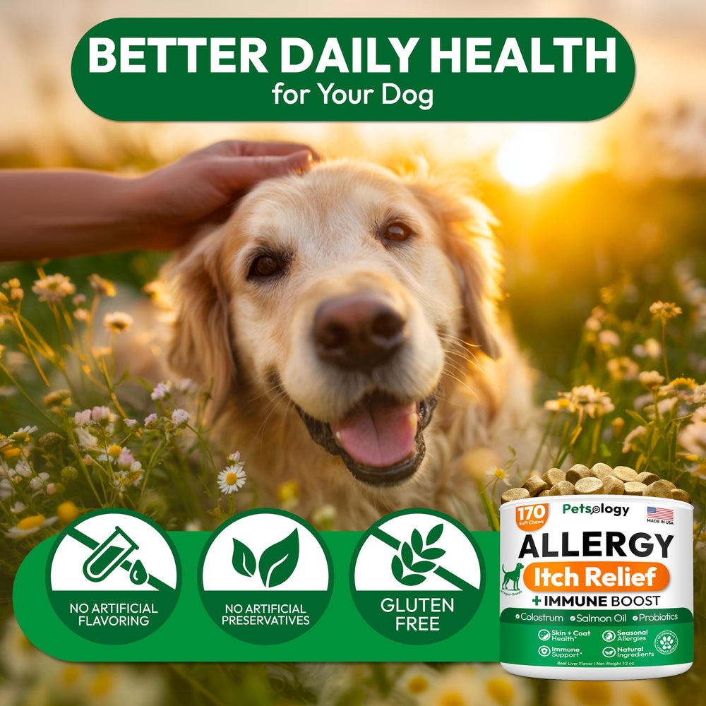 Petsology allergy chews illustrate skin and coat care benefits for dogs.