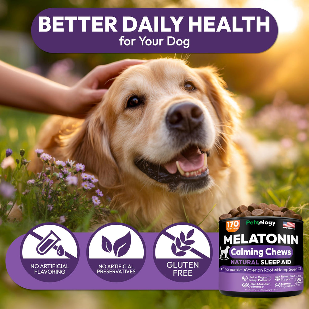 Petsology dog chews on hand—easy daily serving.
