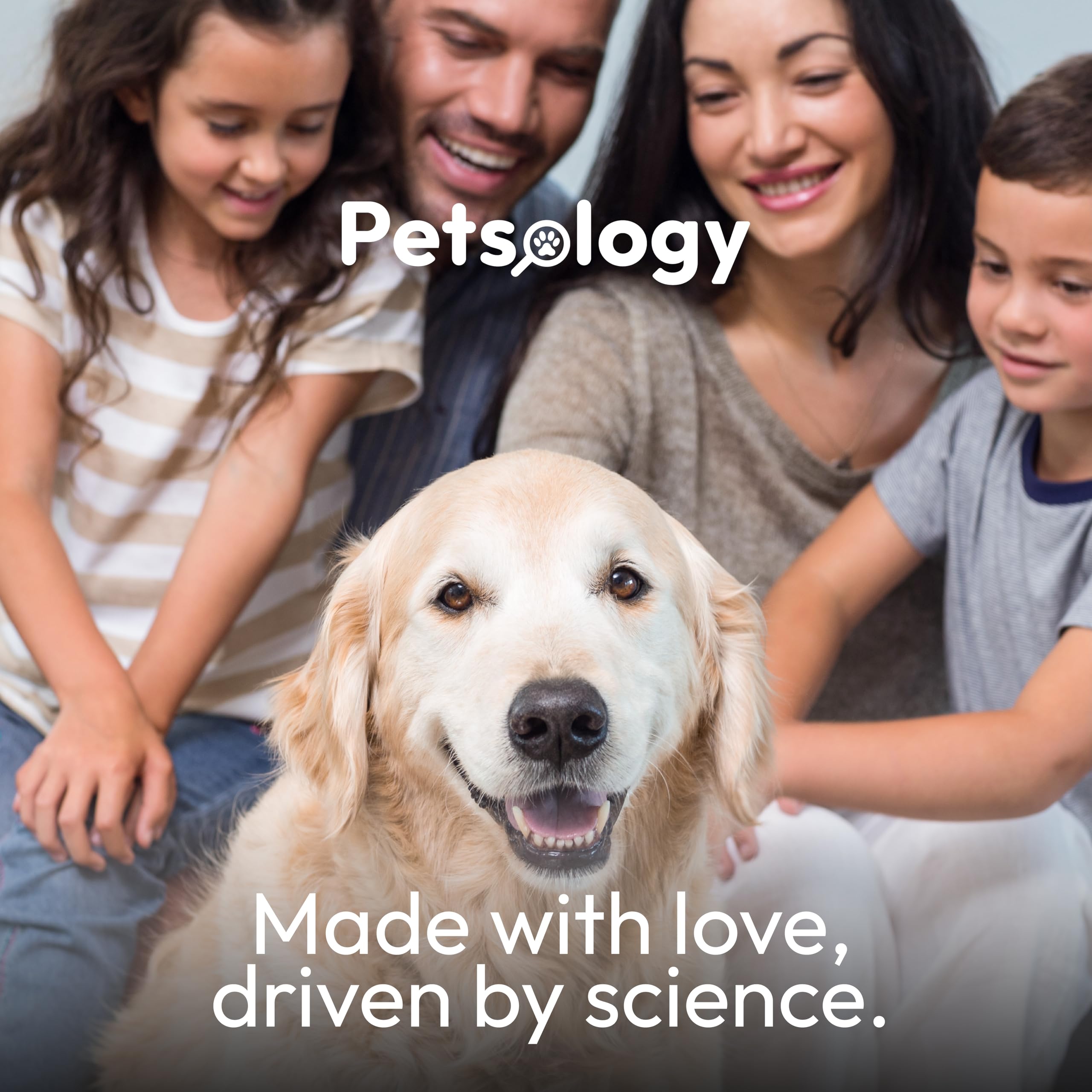 Petsology dog flavor appeal treats hints at tasty daily routine.