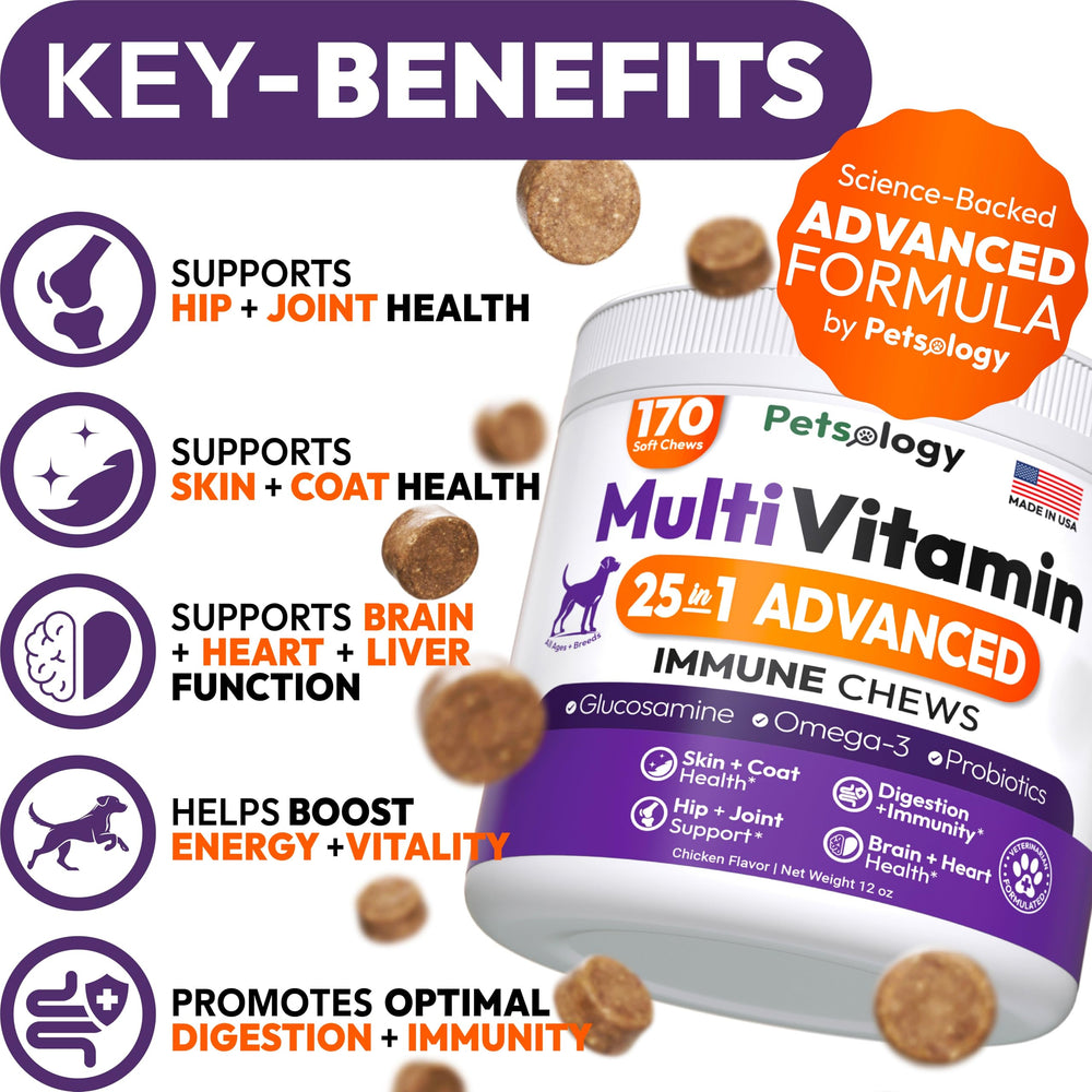 Petsology dog multivitamin chewables closeup highlights tasty daily treats