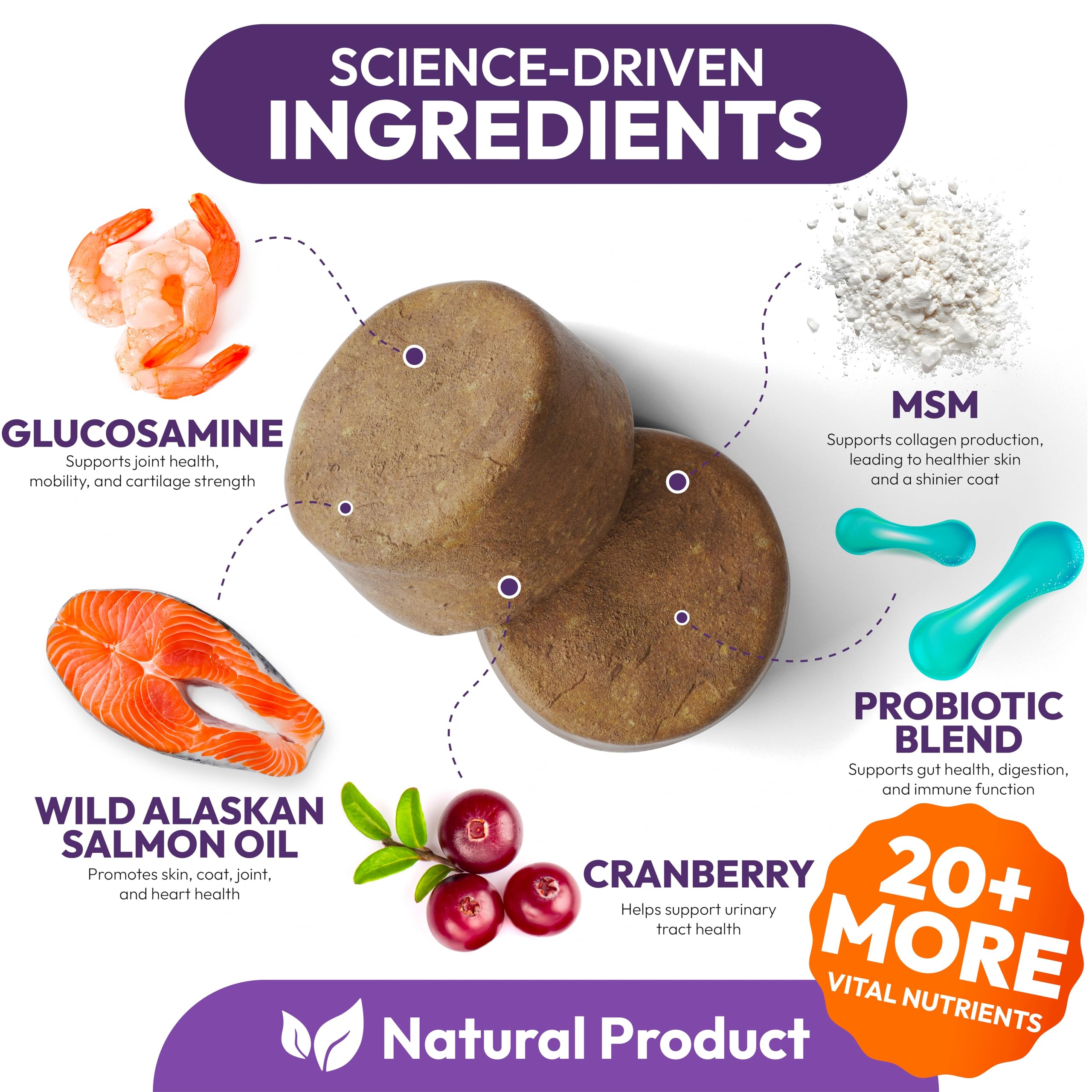 Petsology chewables in hand showcase easy-to-give daily vitamins