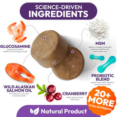 Petsology chewables in hand showcase easy-to-give daily vitamins