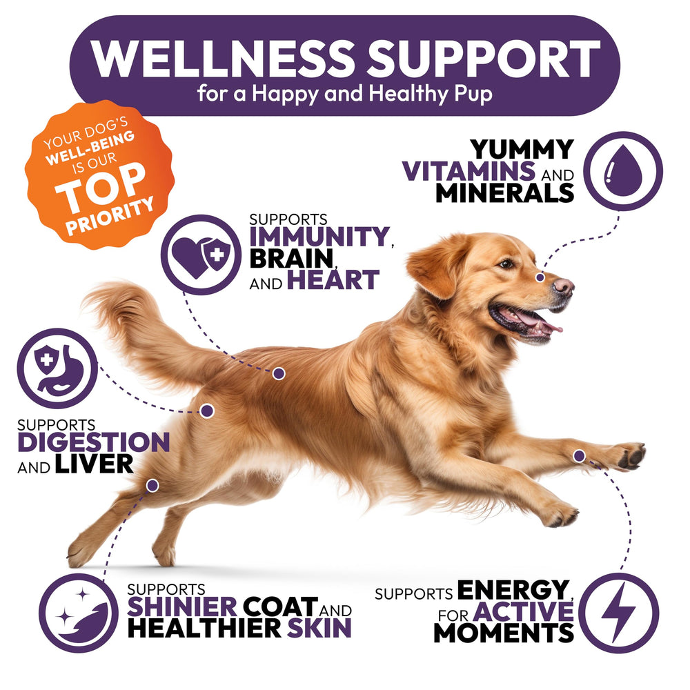 Petsology Dog Multivitamin with Glucosamine label underscores joint support