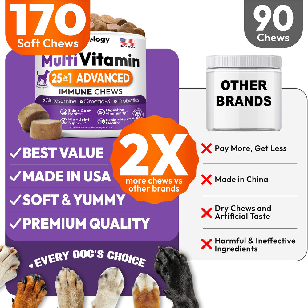 Petsology probiotics and nutrients in bottle suggest digestive balance