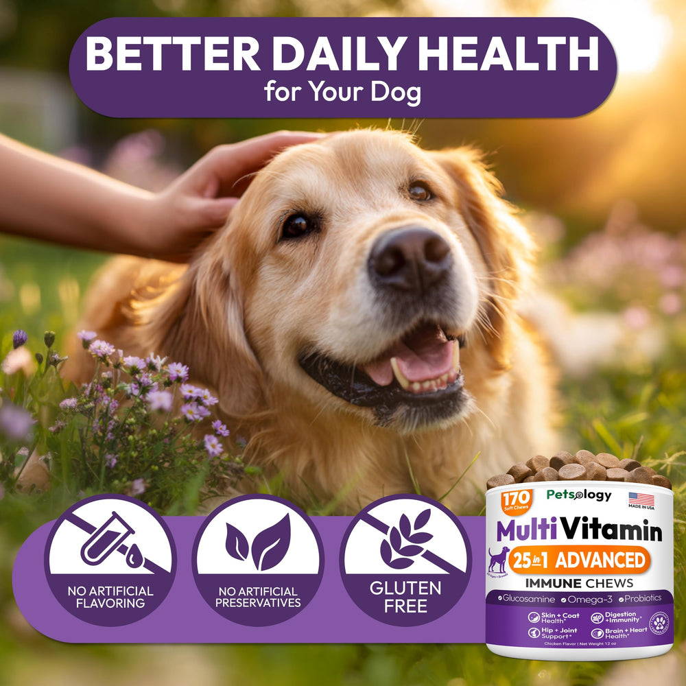 Petsology Skin & Coat features on chews enhance coat vitality