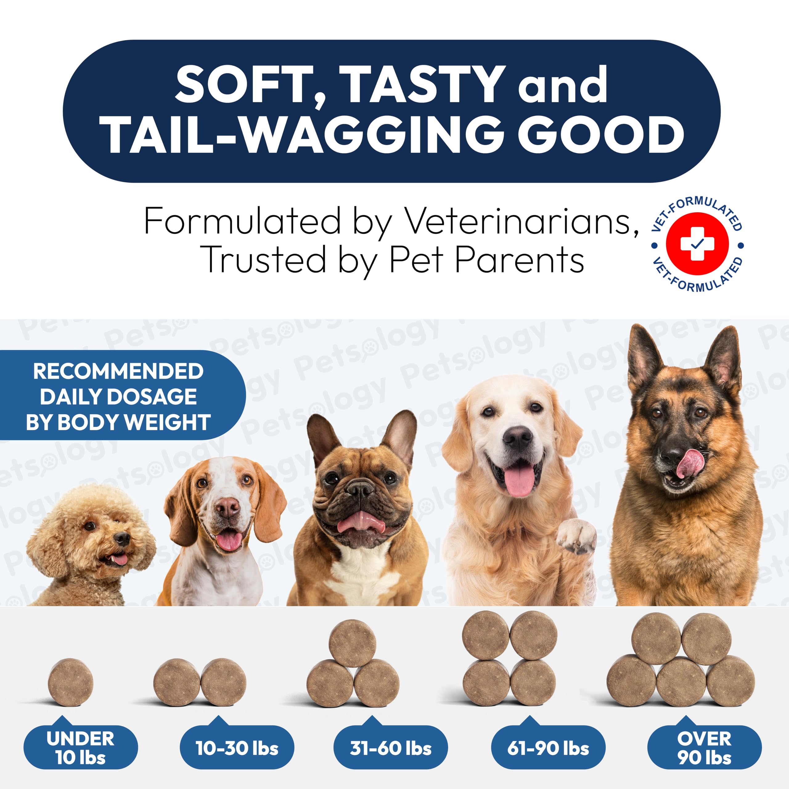 Petsology dog probiotics chews close-up displays chew surface.