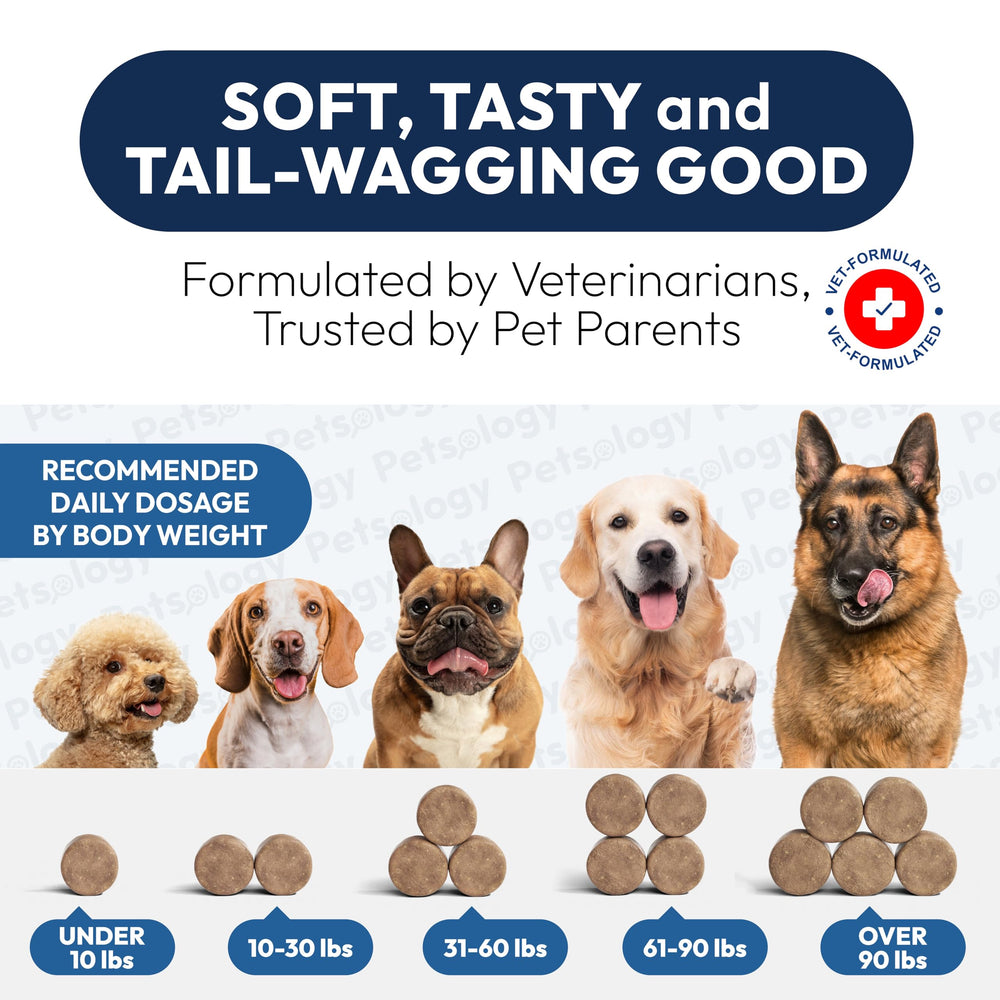 Petsology dog probiotics chews close-up displays chew surface.