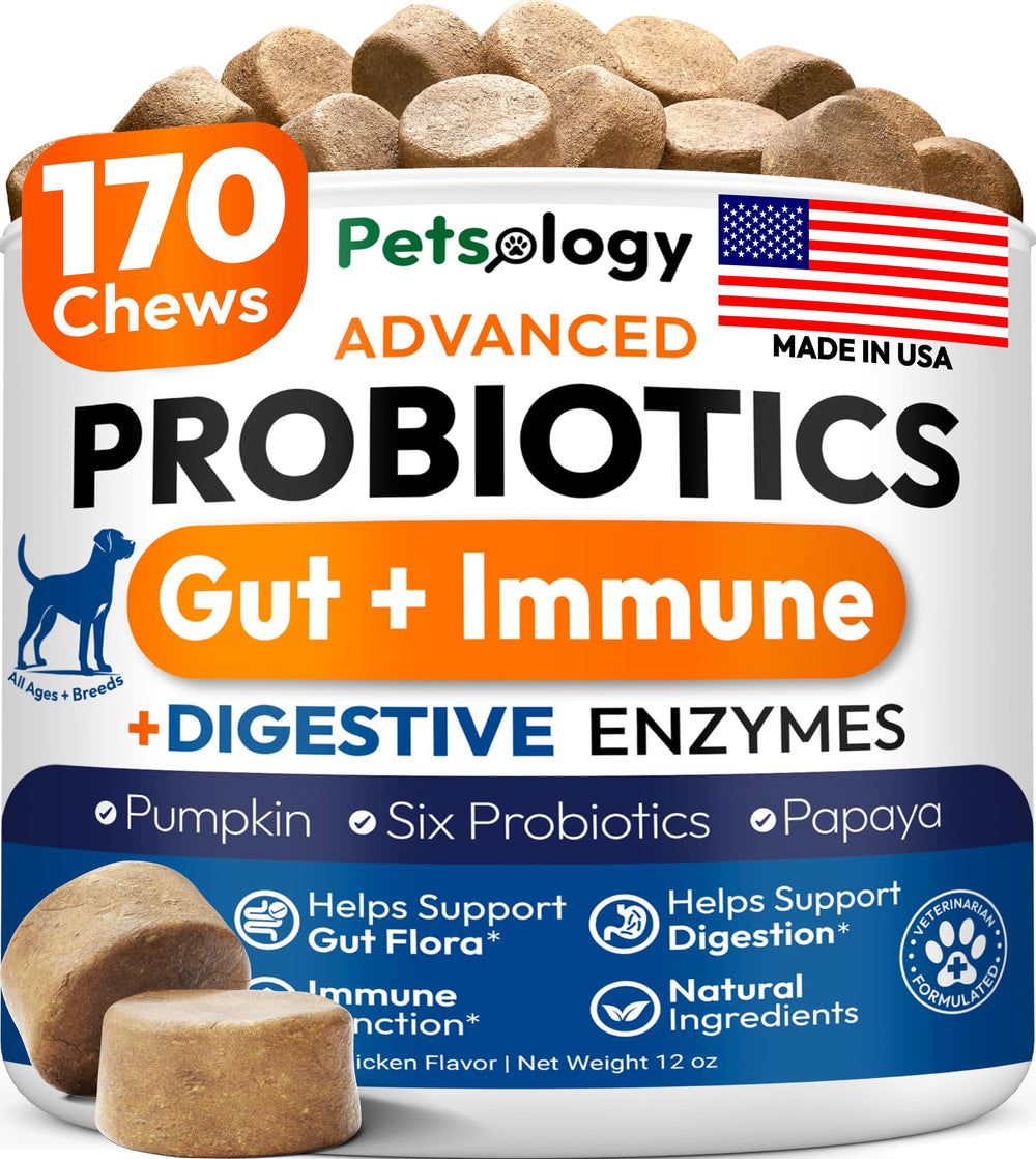 Petsology dog probiotics chews bottle promotes daily gut support.