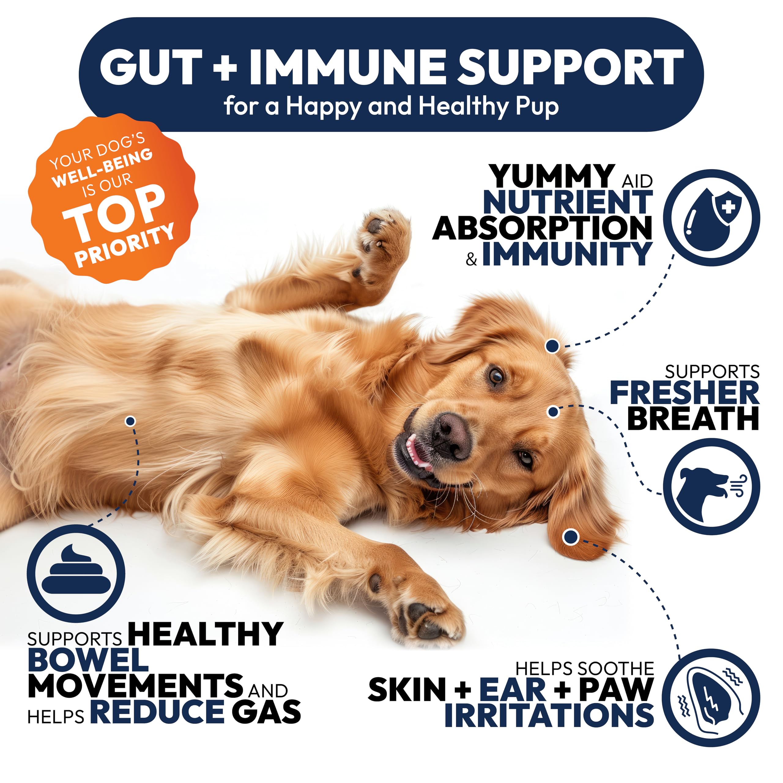 Petsology dog probiotics chews offered during a dog treat time.