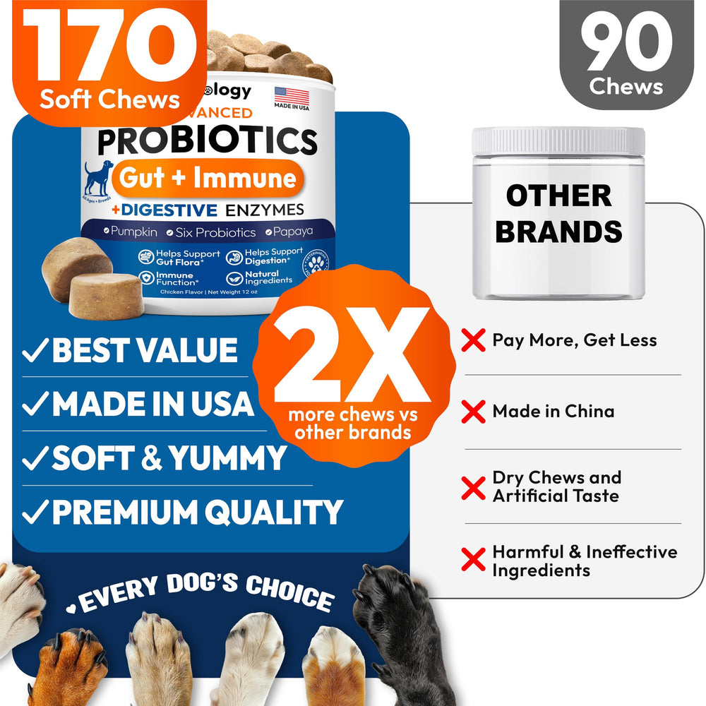 Petsology dog probiotics chews label close-up shows ingredients.