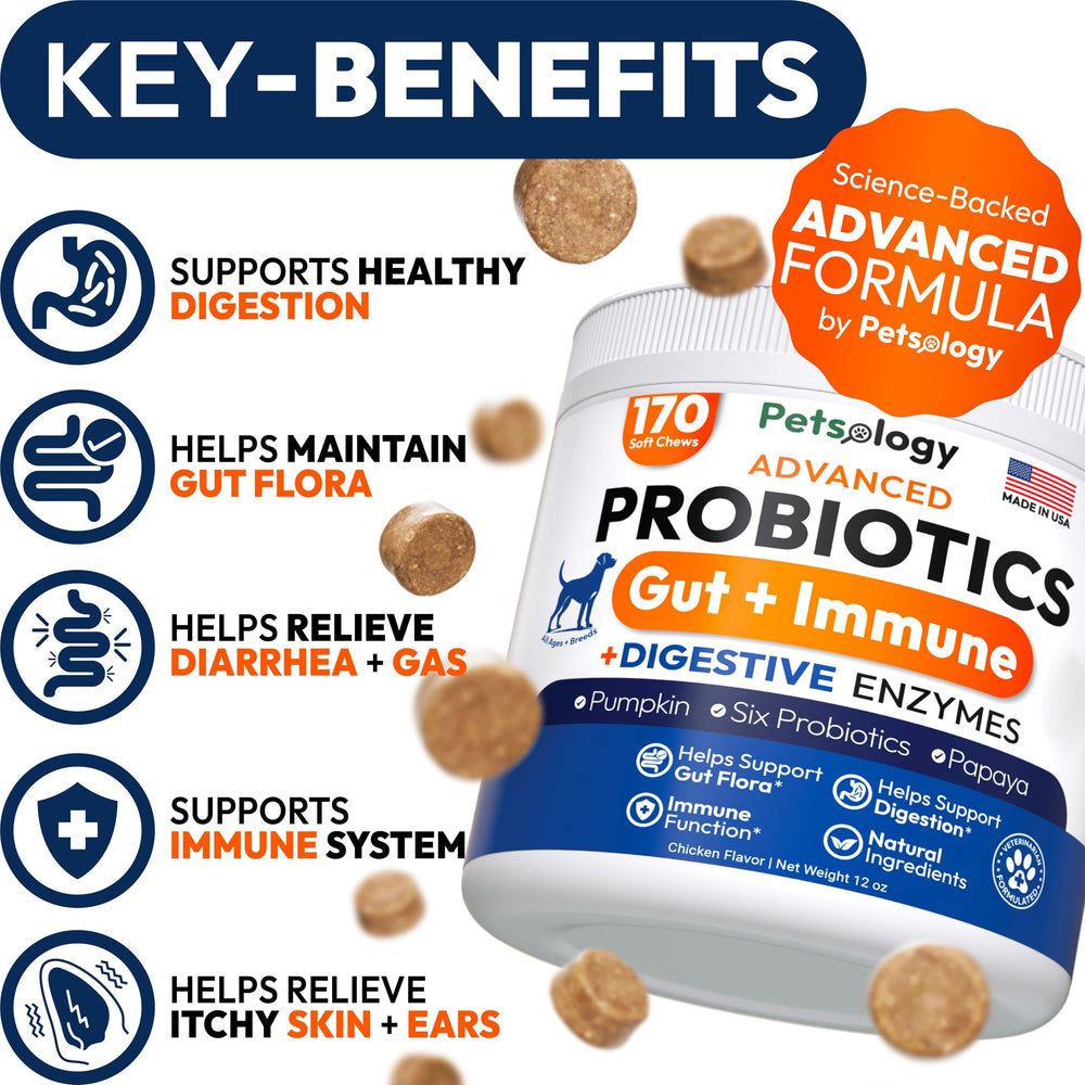 Petsology dog probiotics chews packaging highlights natural ingredients and prebiotics.
