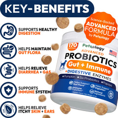 Petsology dog probiotics chews packaging highlights natural ingredients and prebiotics.