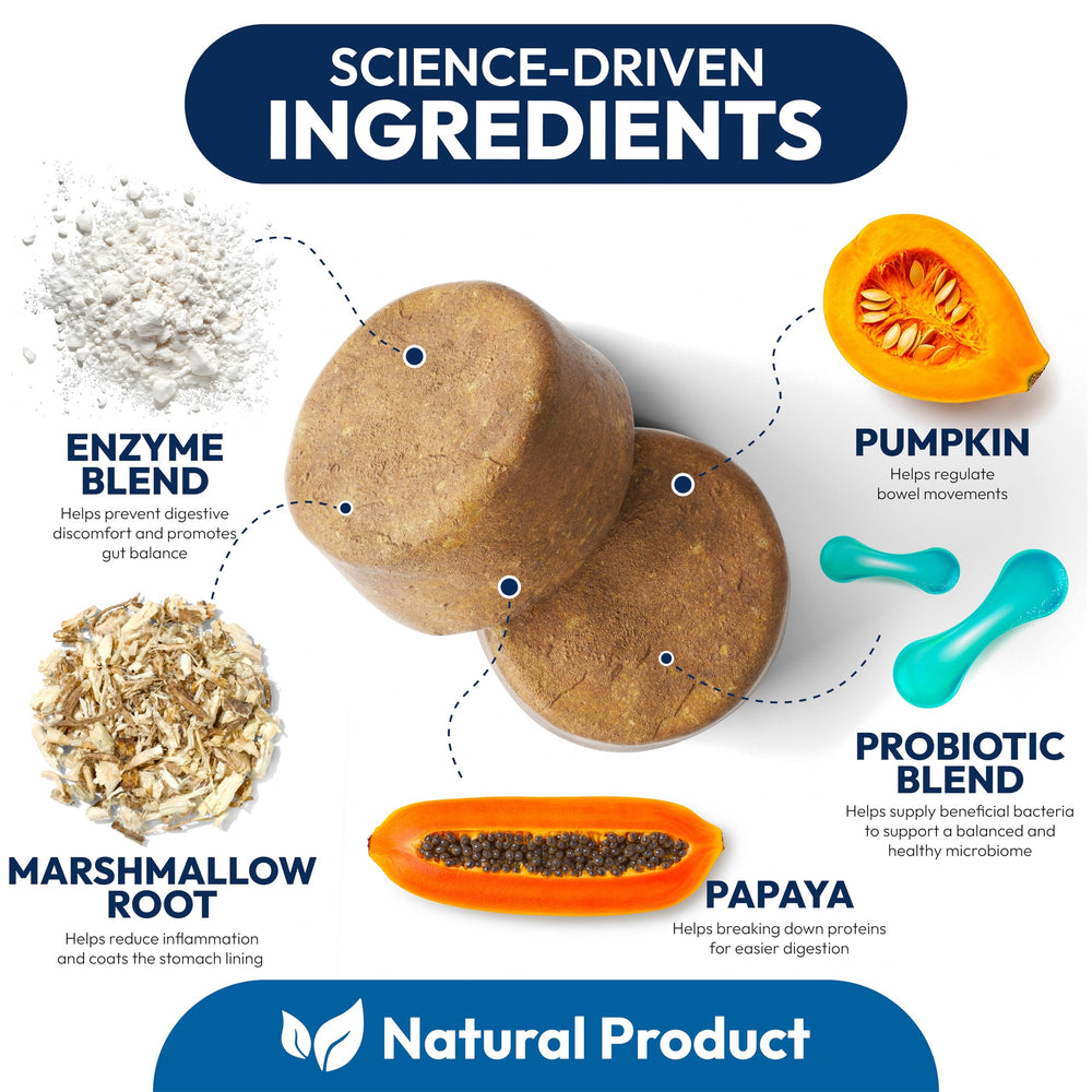 Petsology dog probiotics chews texture shown as soft palatable treats.