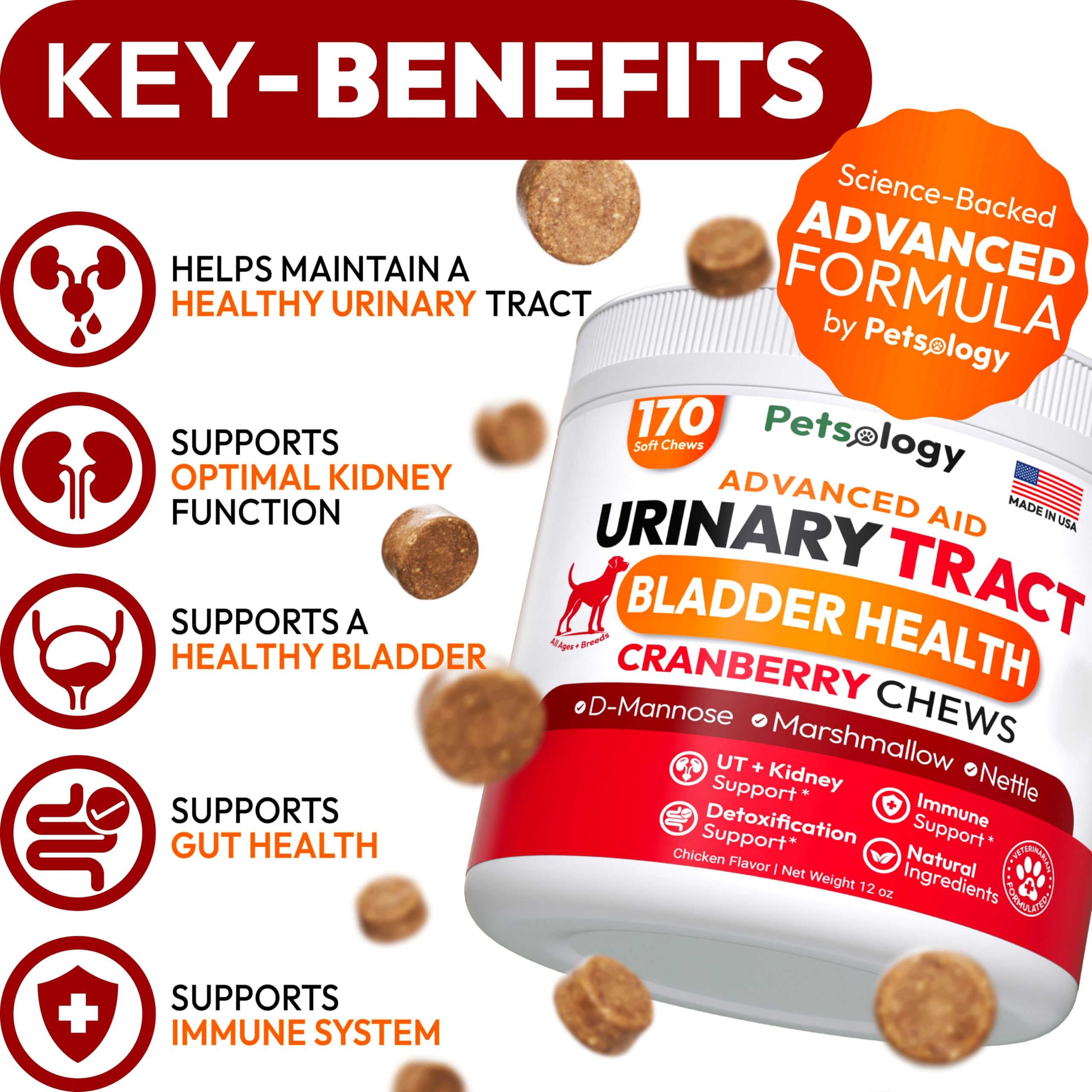 Petsology dog uti chews ingredients jar highlights cranberry and D-Mannose benefits.