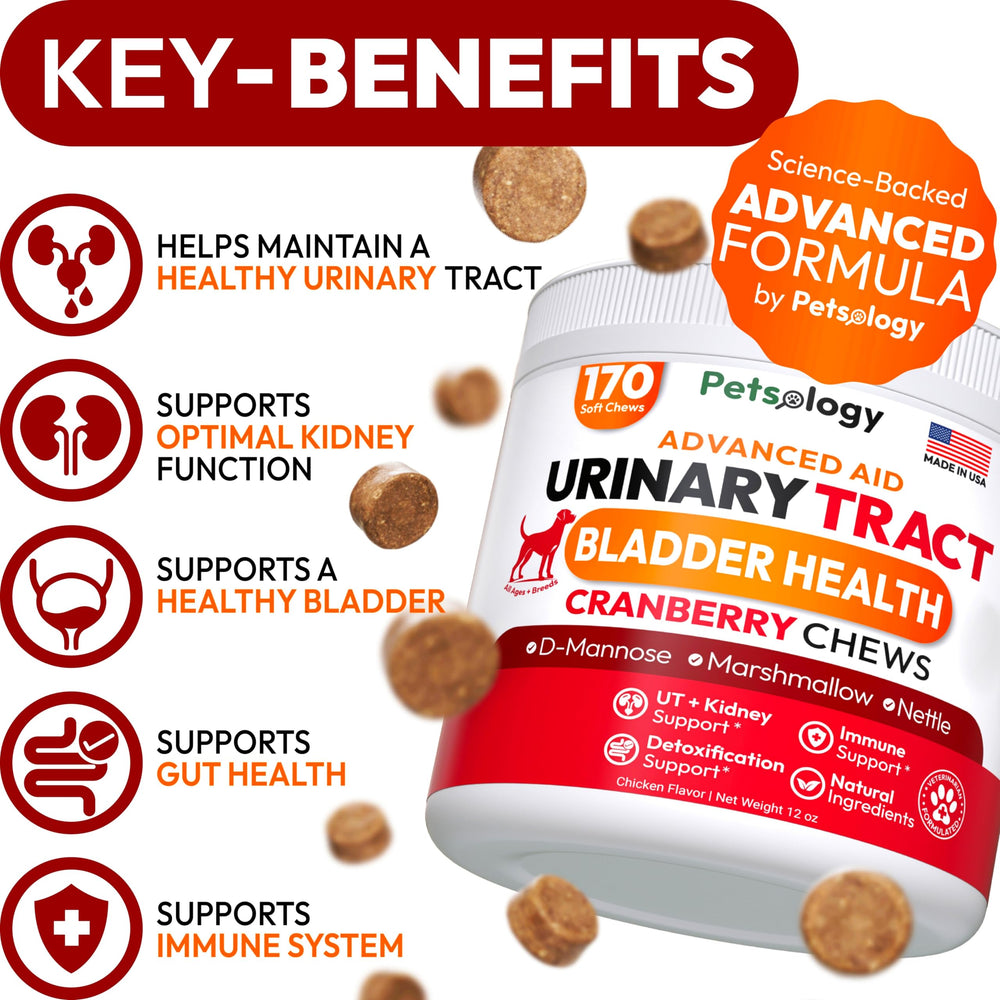 Petsology dog uti chews ingredients jar highlights cranberry and D-Mannose benefits.