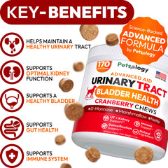 Petsology dog uti chews ingredients jar highlights cranberry and D-Mannose benefits.