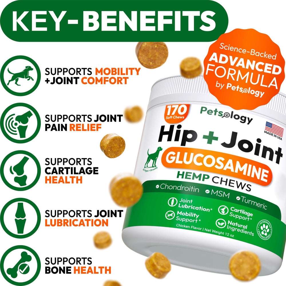 Petsology glucosamine-dog-chews-pack demonstrates daily joint support for active dogs