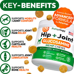Petsology glucosamine-dog-chews-pack demonstrates daily joint support for active dogs