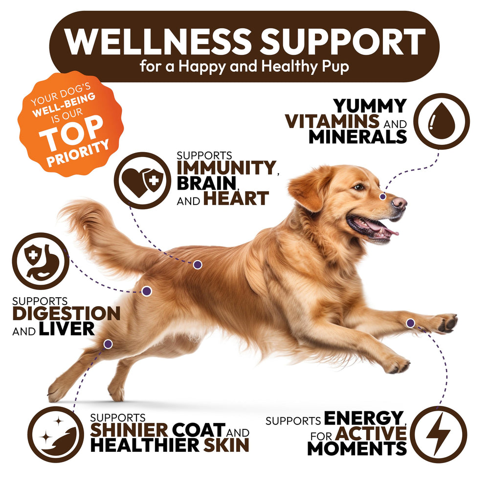 Petsology Glucosamine dog multivitamin chews for comfortable movement