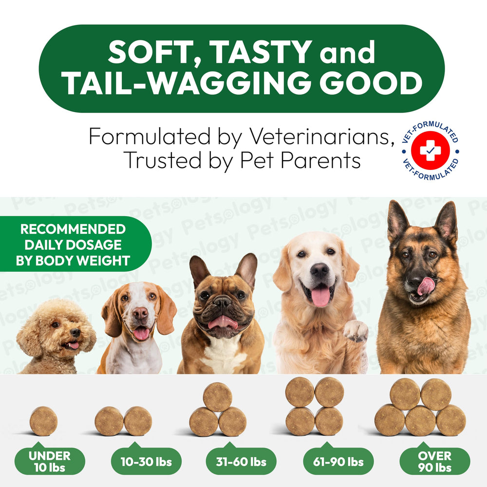 Petsology glucosamine dog chews near a dog illustrating daily activity support