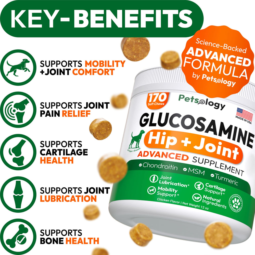 Petsology glucosamine dog chews overview pack highlights ingredients for hip and joint care