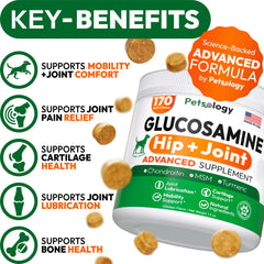 Petsology glucosamine dog chews overview pack highlights ingredients for hip and joint care
