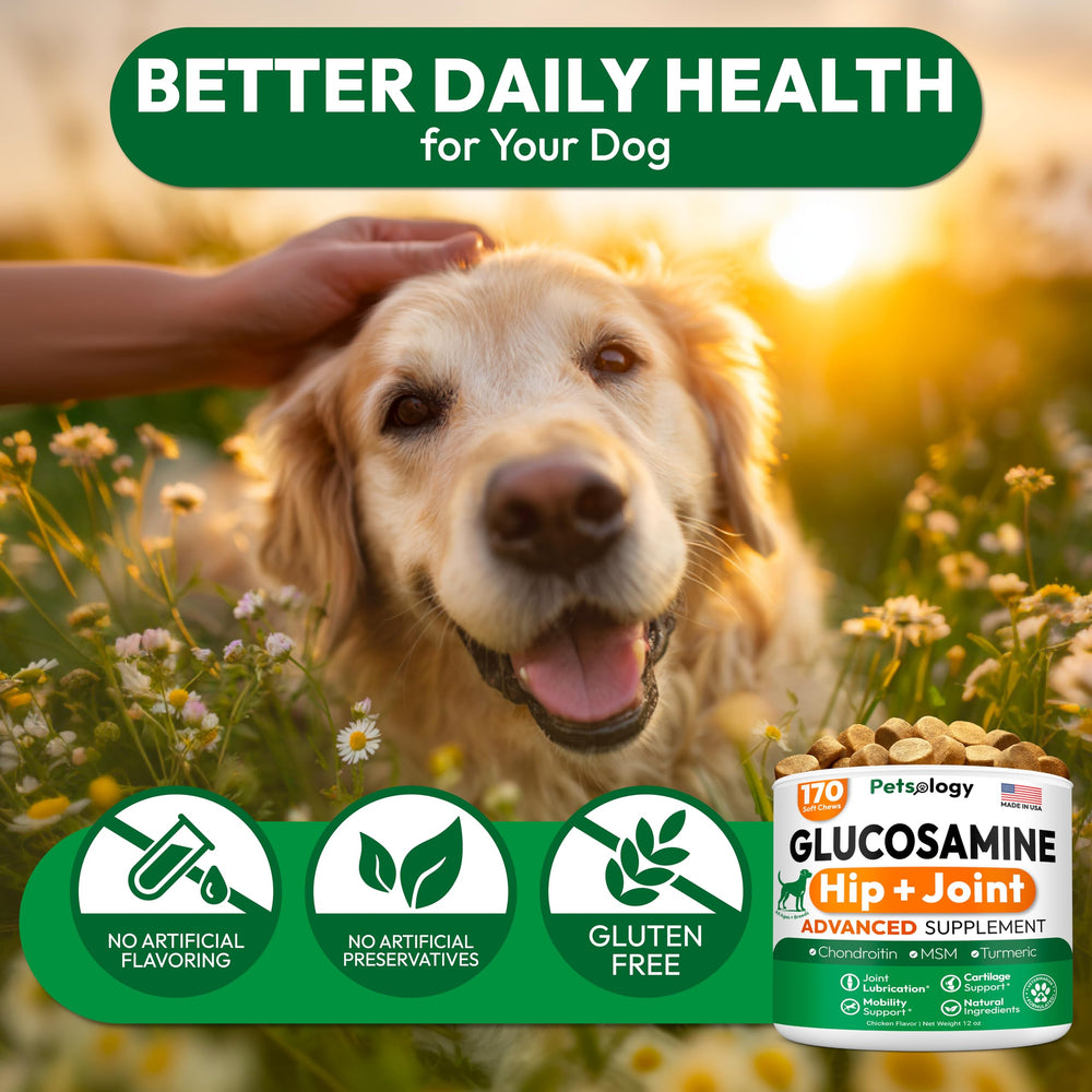 Petsology glucosamine dog chews packaging indicating dosage guidance on the label