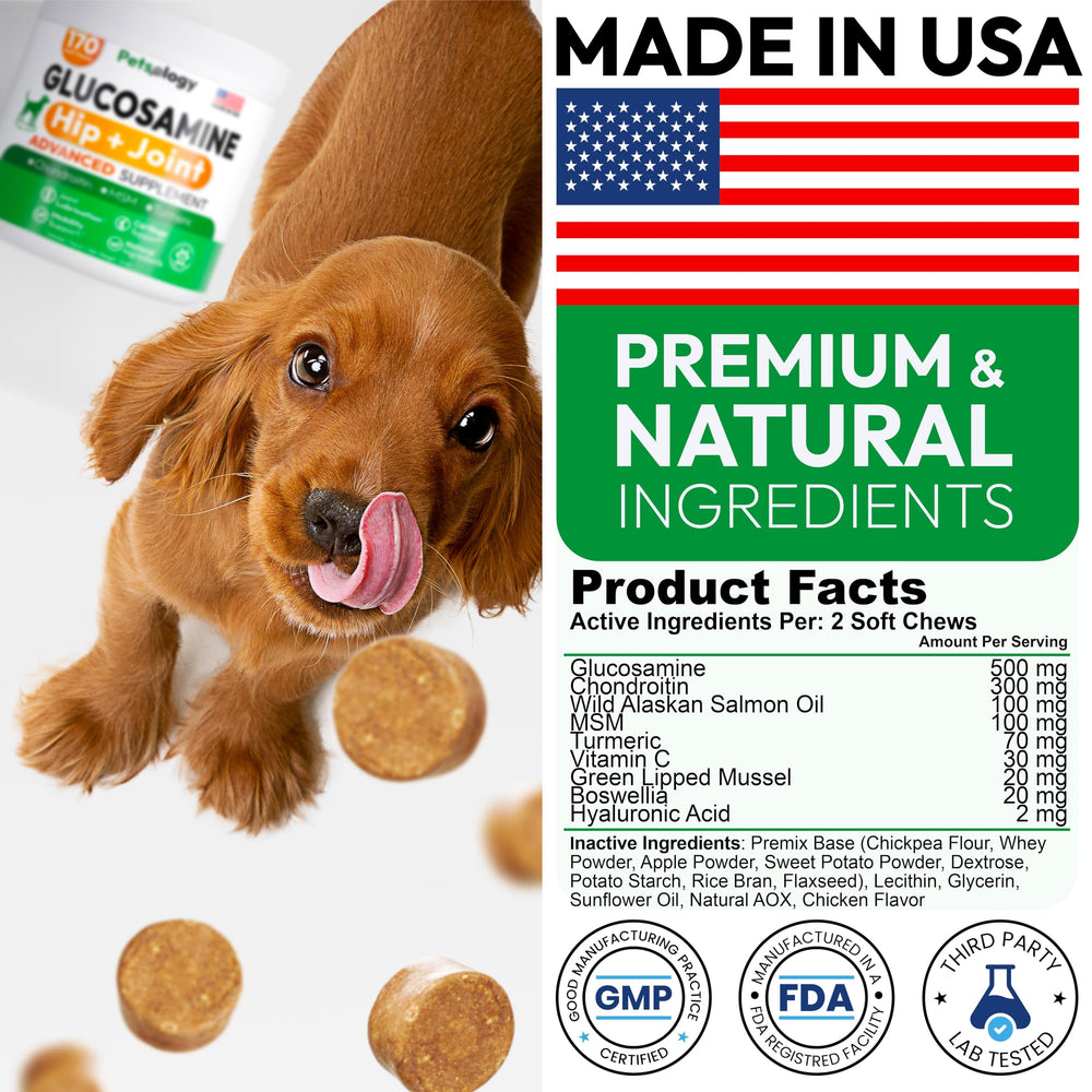 Petsology glucosamine dog chews label confirms USA-made production facility