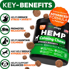 Petsology Hemp Calming Chews closeup of treats supports calm behavior on trips