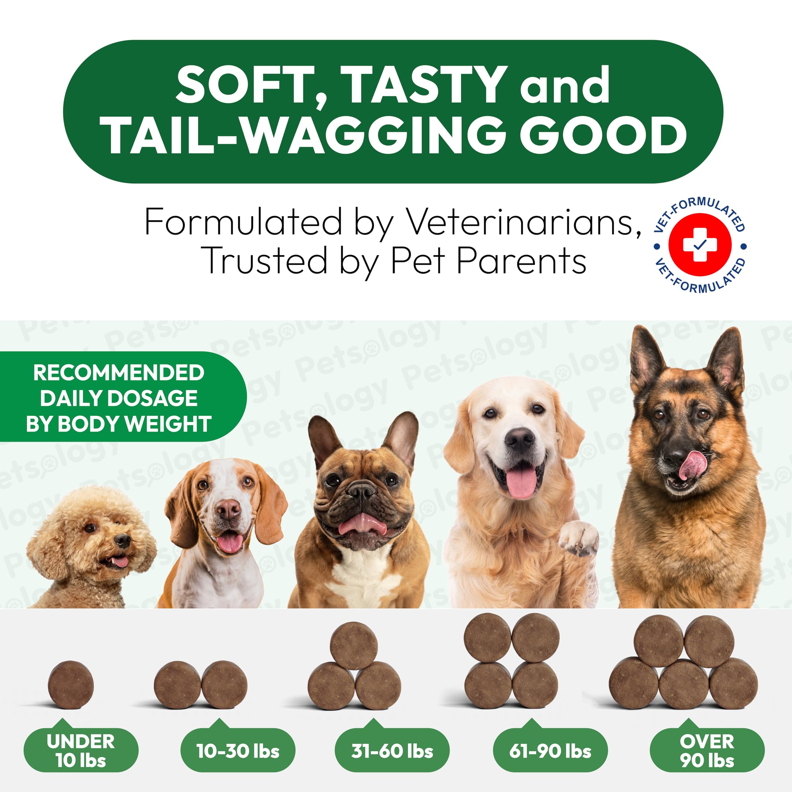 Petsology Hemp Calming Chews dog with vet-approved tag for trust