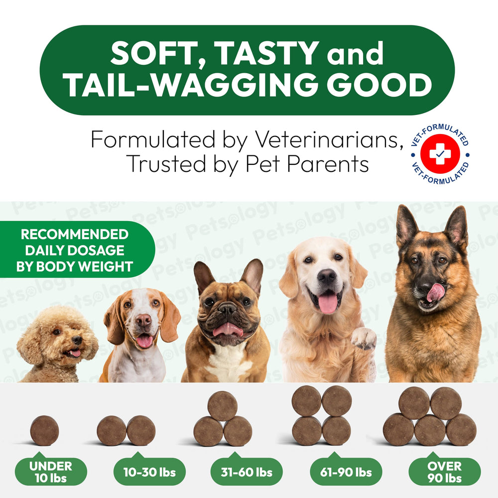 Petsology Hemp Calming Chews dog with vet-approved tag for trust