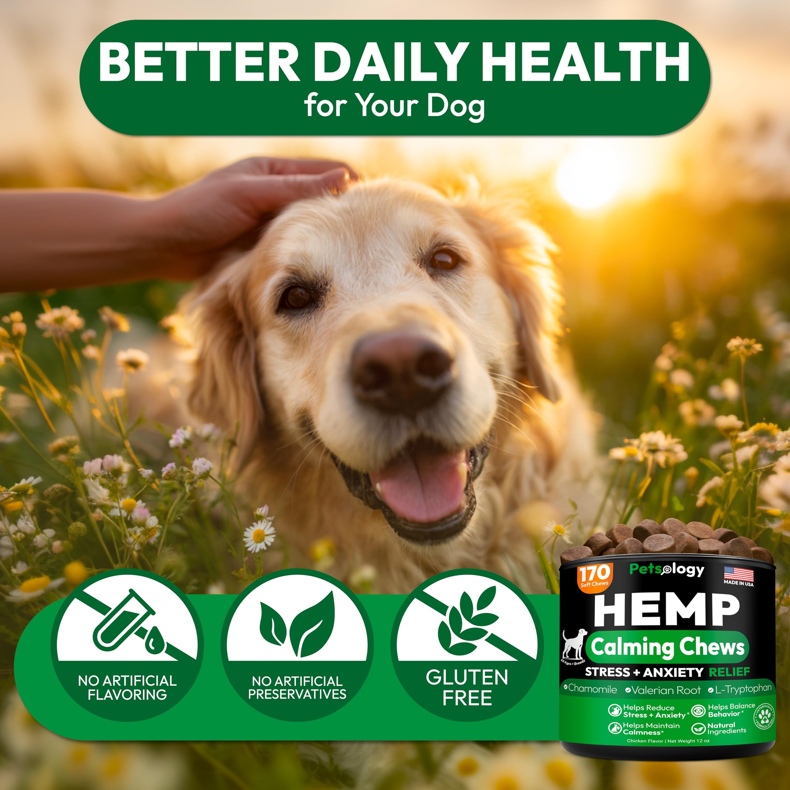 Petsology Hemp Calming Chews relaxed dog closeup after activity