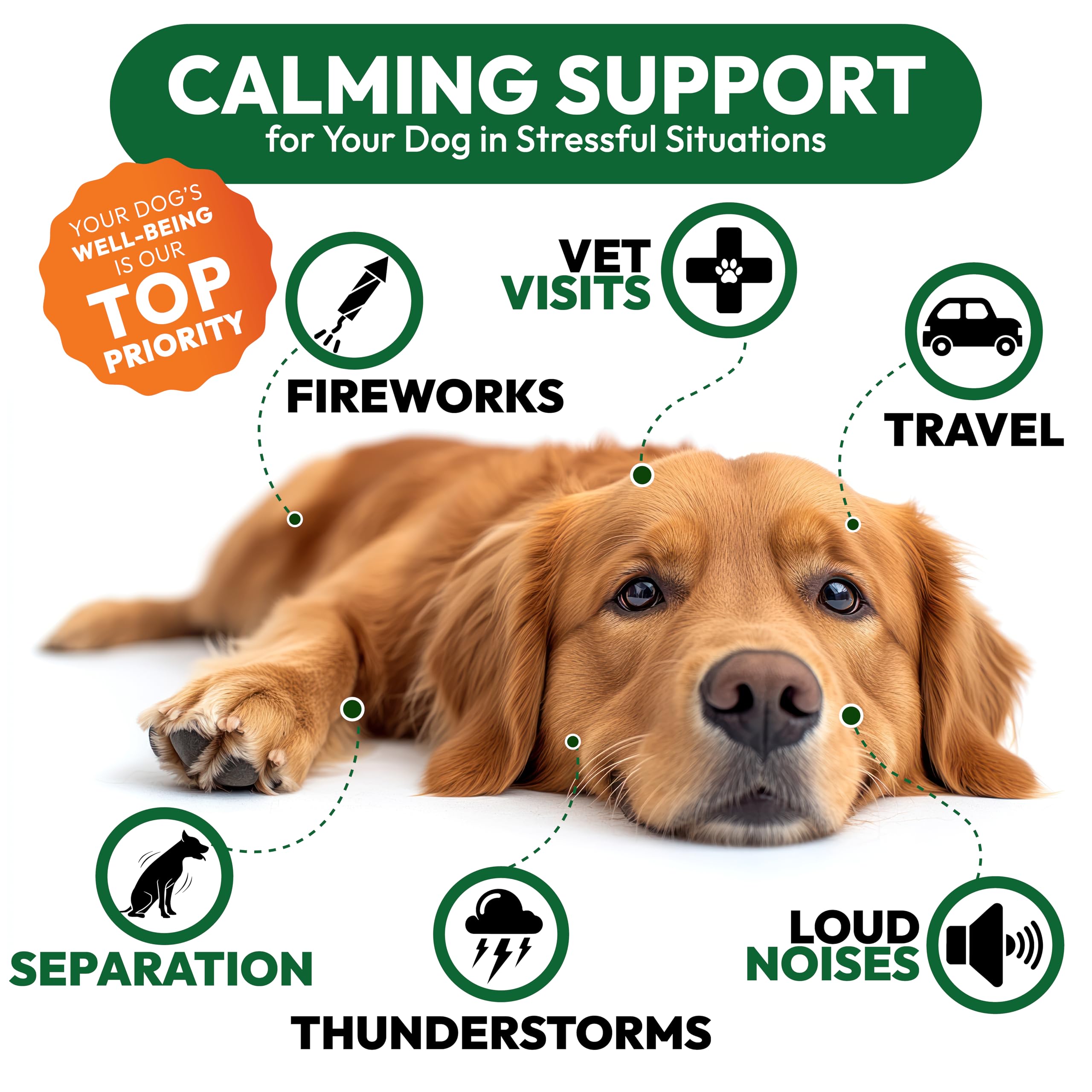 Petsology Hemp Calming Chews tin packaging highlights safe, quality product