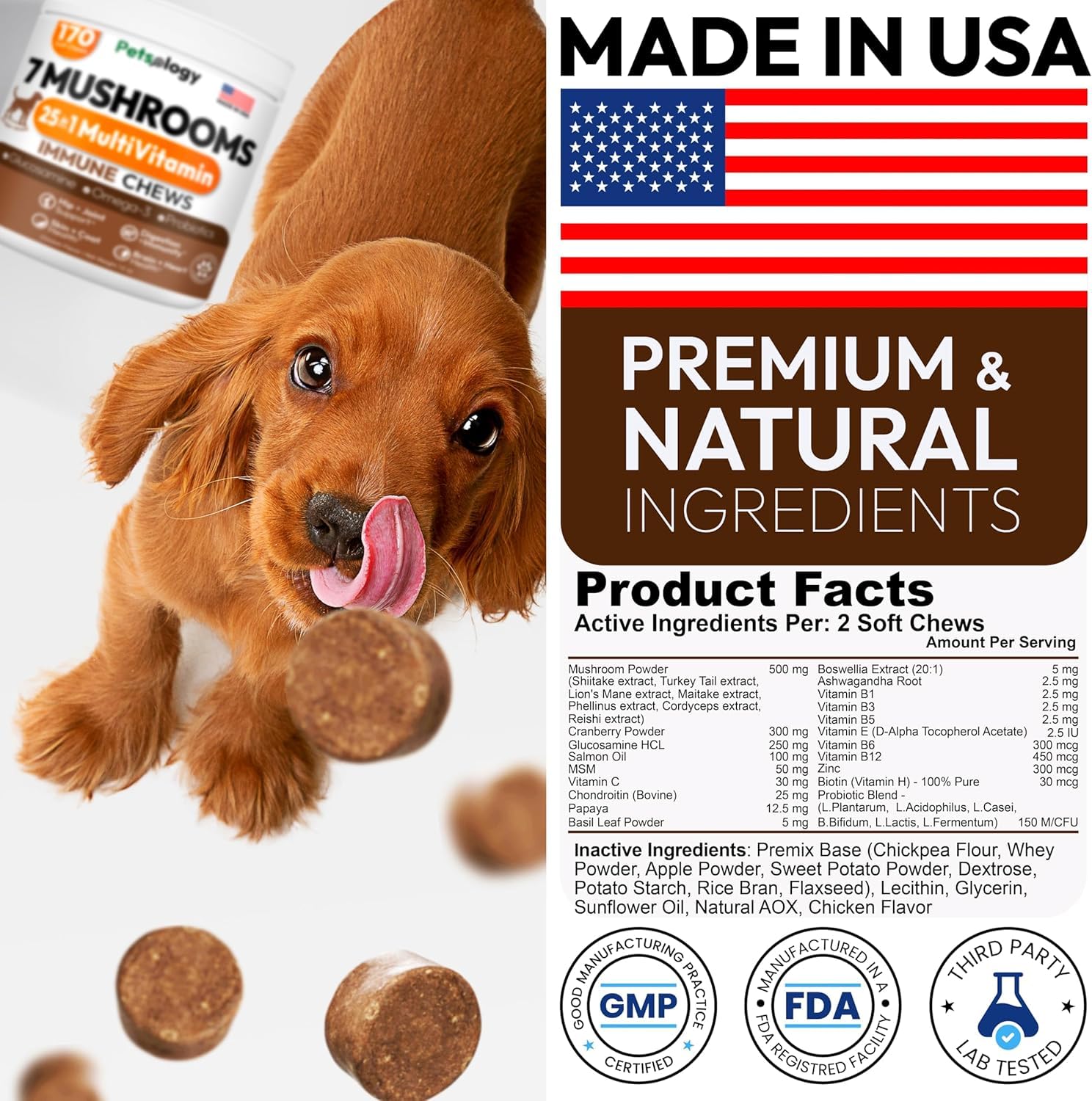 Petsology Immune-support chews with antioxidants for daily canine wellness