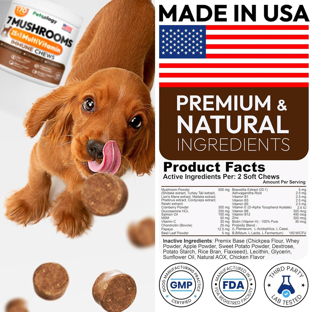 Petsology Immune-support chews with antioxidants for daily canine wellness