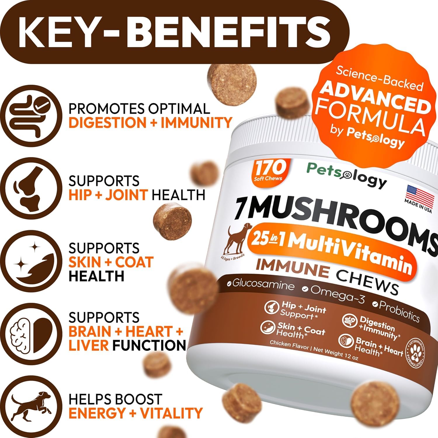 Petsology Lions Mane dog chews promote mental clarity and focus