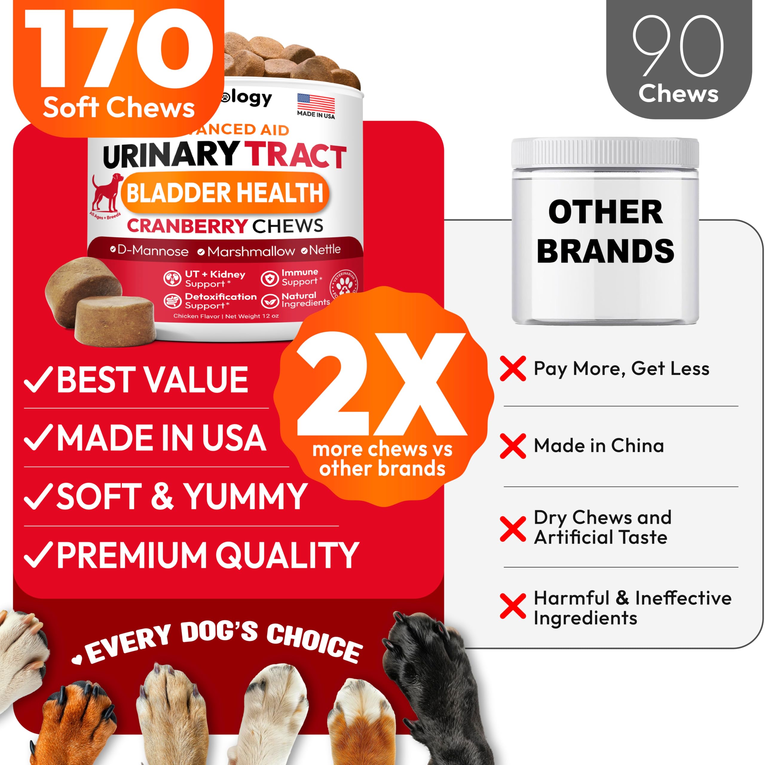 Petsology made-in-usa dog vitamins image conveys trusted manufacturing.