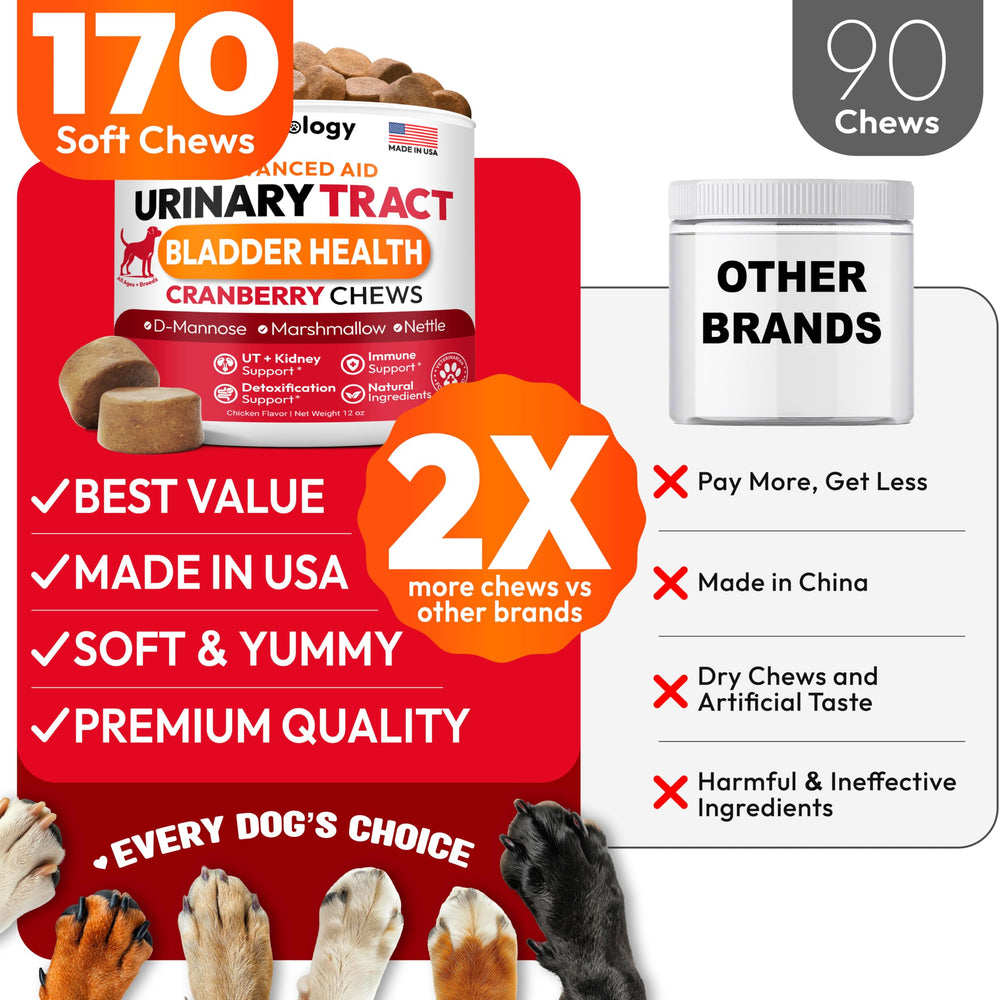 Petsology made-in-usa dog vitamins image conveys trusted manufacturing.