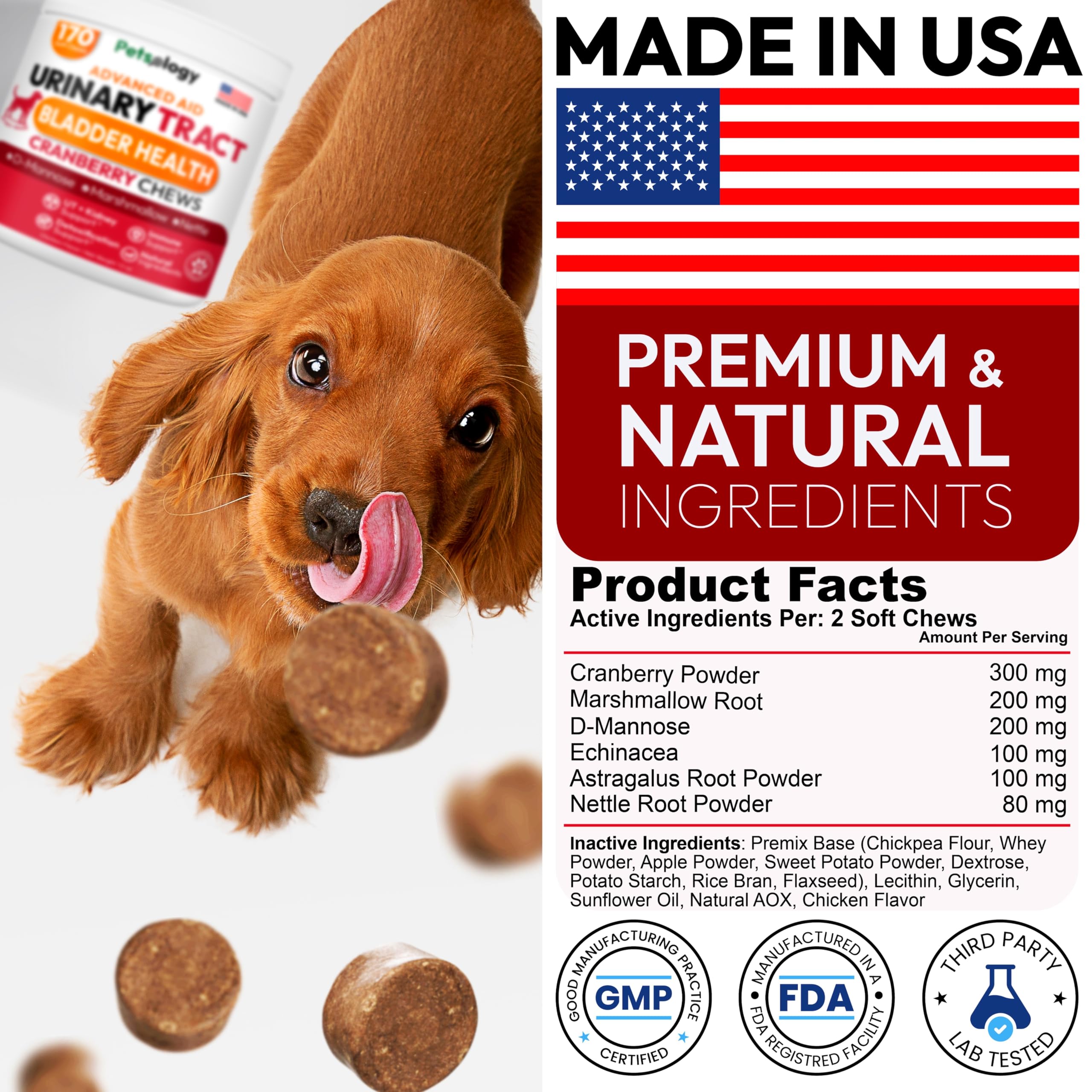 Petsology natural cranberry D-Mannose dog ingredients showcases holistic care.