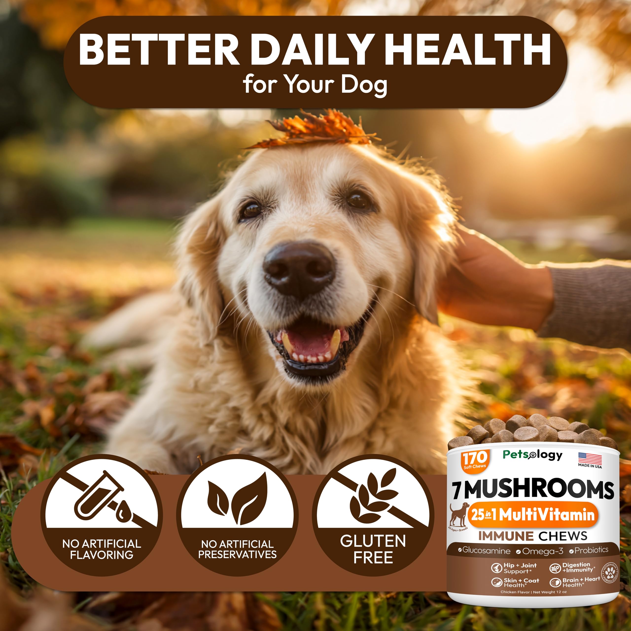 Petsology Natural mushroom blend image emphasizes premium vet-formulated ingredients