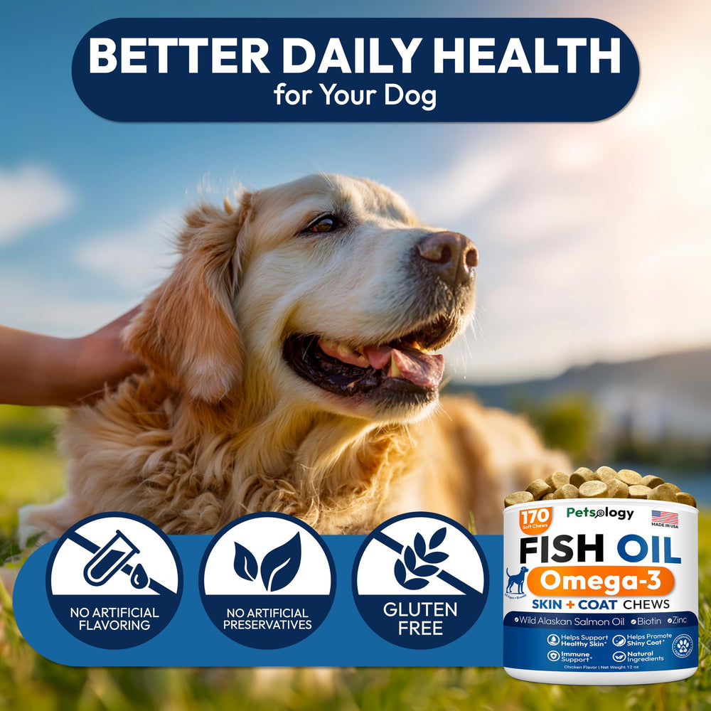 Petsology Omega 3 for Dogs dog playing to illustrate joint comfort.