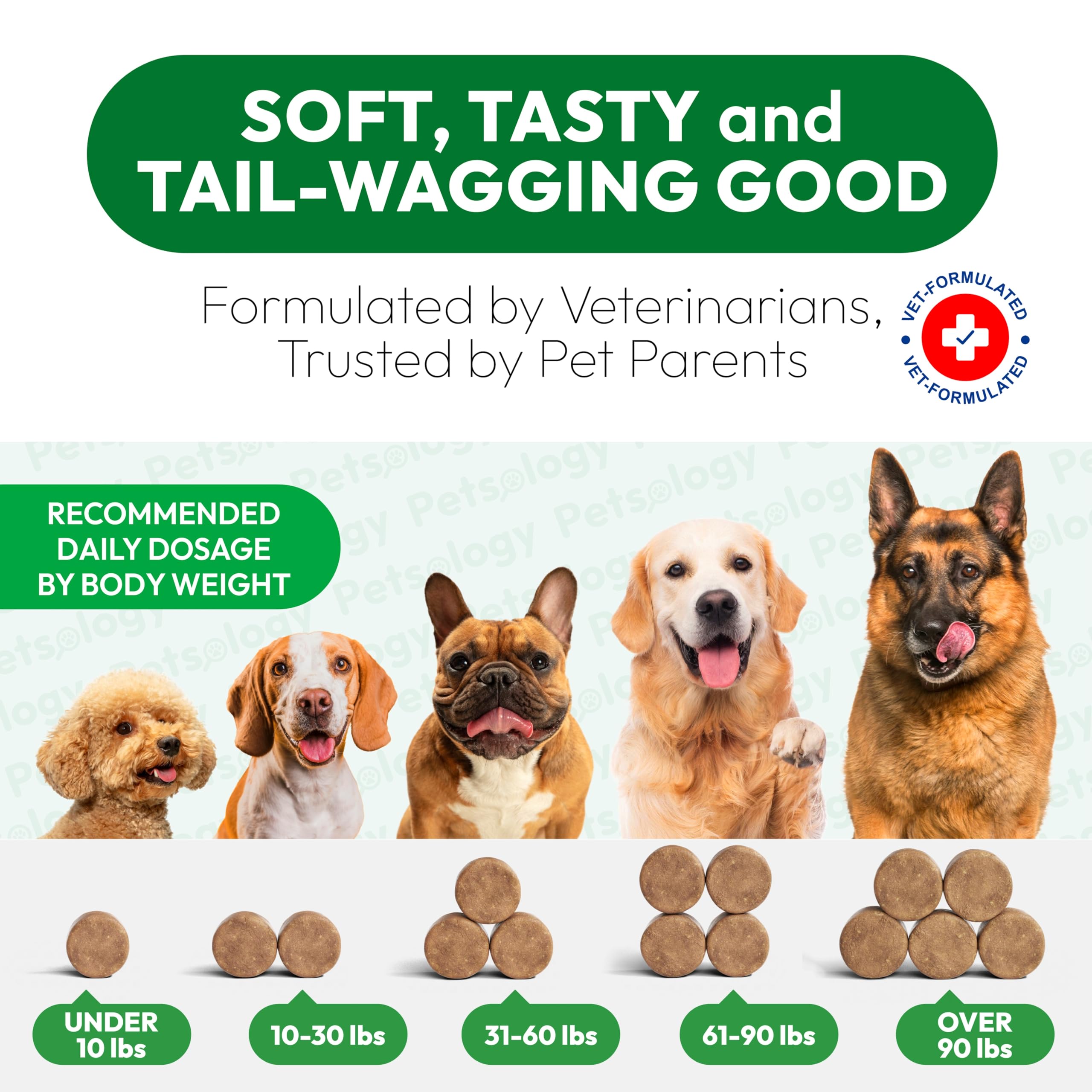 Petsology usage scene with dog outdoors