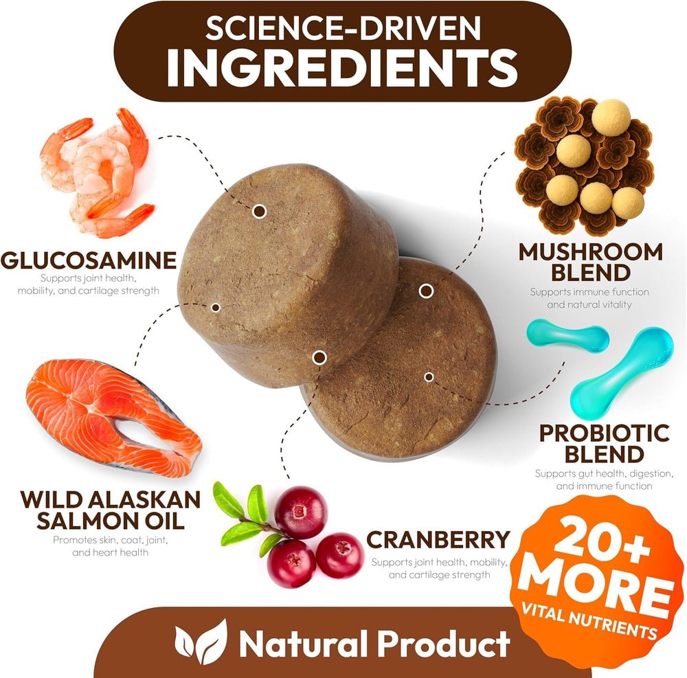Petsology Reishi and Shiitake dog chews support joints and mobility