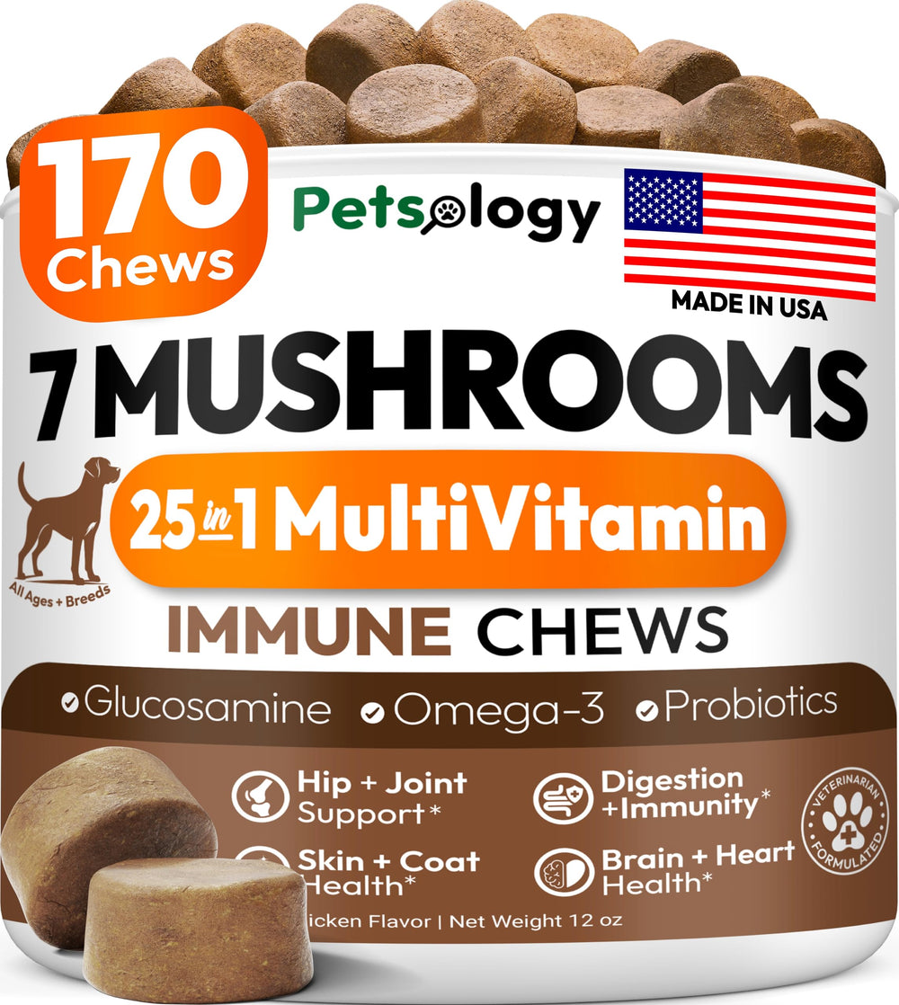 Petsology turkey-tail dog bottle highlights immune support chews for daily vitality