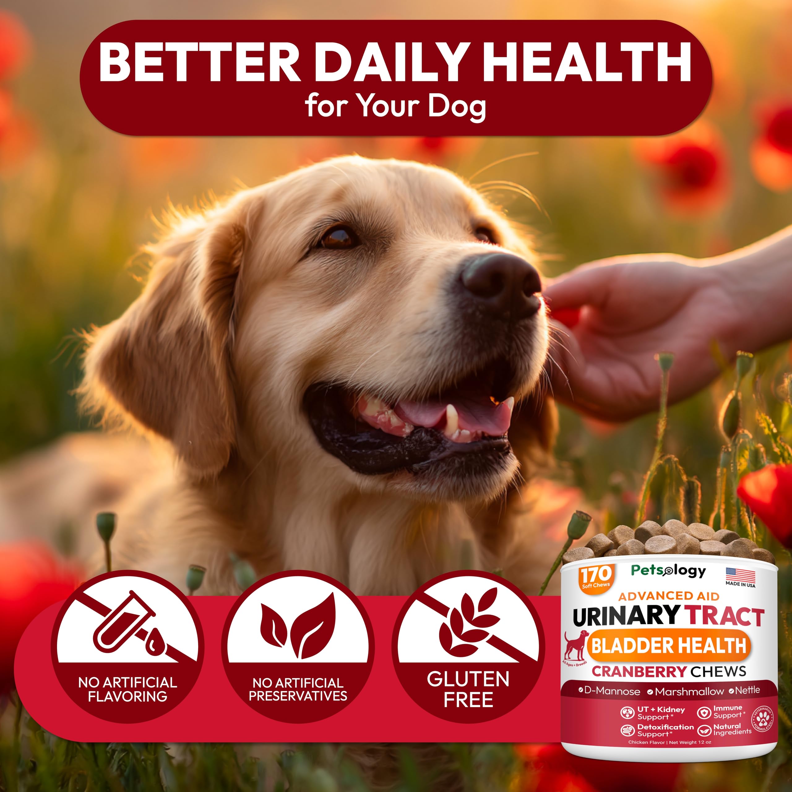 Petsology vet-formulated dog supplements signals safe daily use.