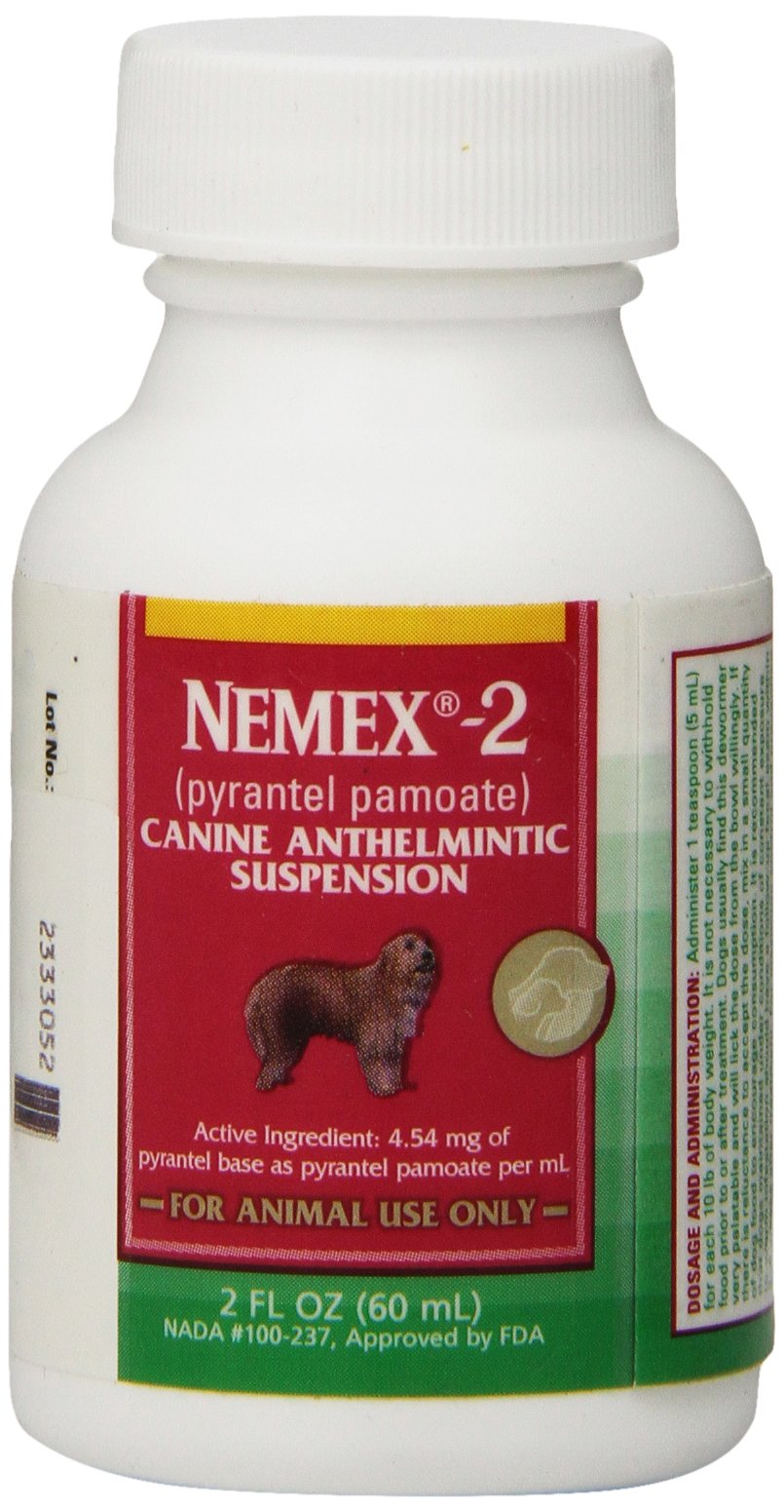 Pfizer Nemex-2 wormer bottle pour demonstrates easy dosing for small dogs at home.