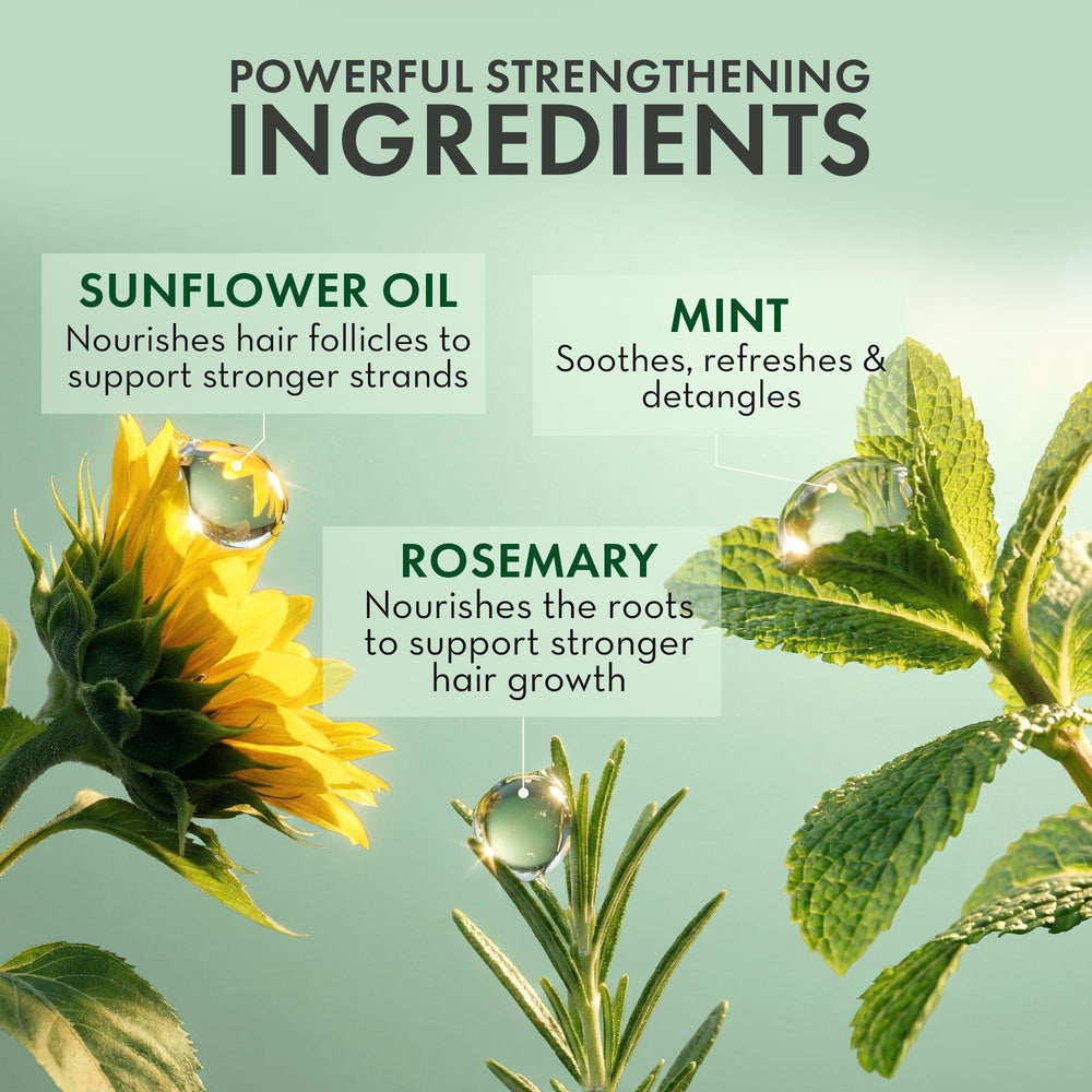 PHARM TO TABLE Leave-In Conditioner Rosemary and Mint hair detangling in shower.
