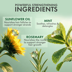 PHARM TO TABLE Leave-In Conditioner Rosemary and Mint hair detangling in shower.